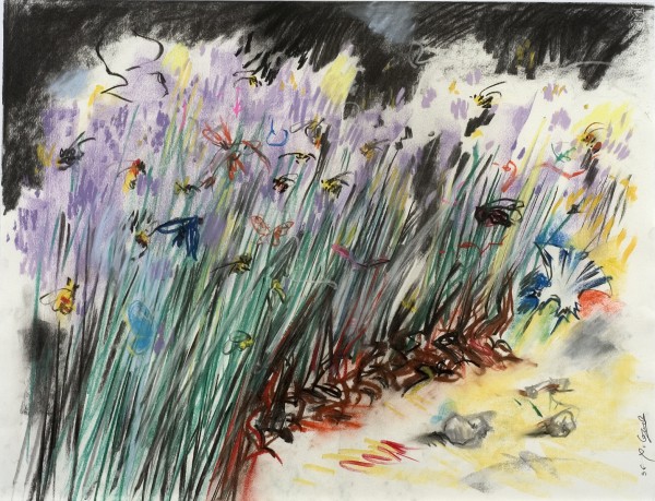 Insectes / Lavandes, 6